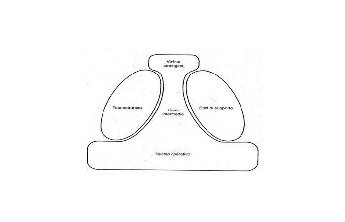 Le cinque parti fondamentali dell’organizzazione